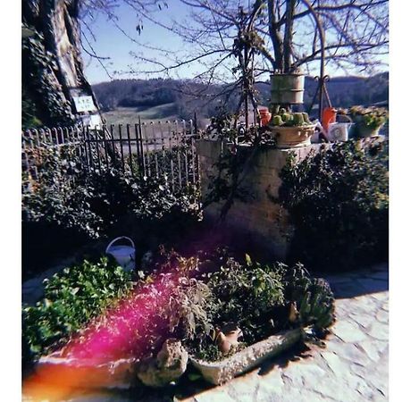 La Casina Di Ancicucco 1 Apartment San Gimignano Ngoại thất bức ảnh
