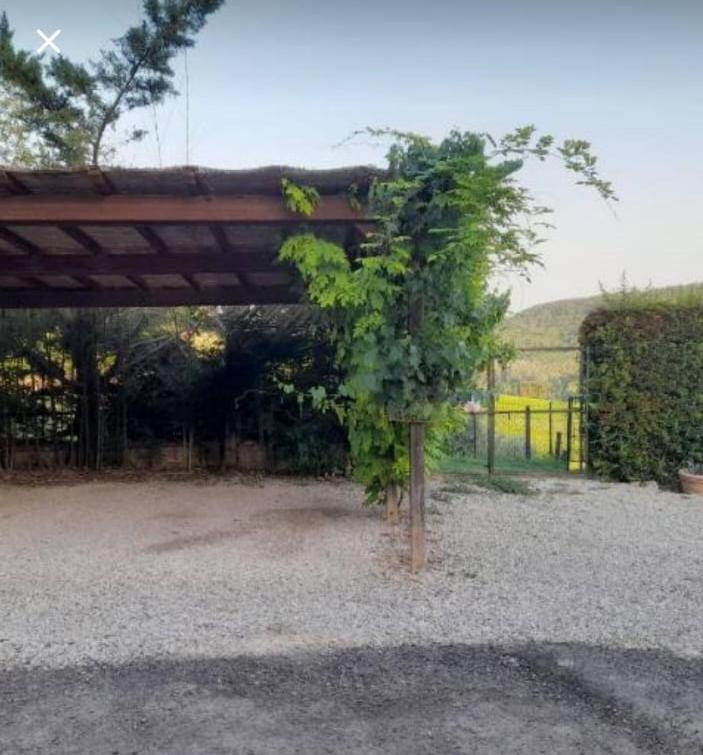 La Casina Di Ancicucco 1 Apartment San Gimignano Ngoại thất bức ảnh