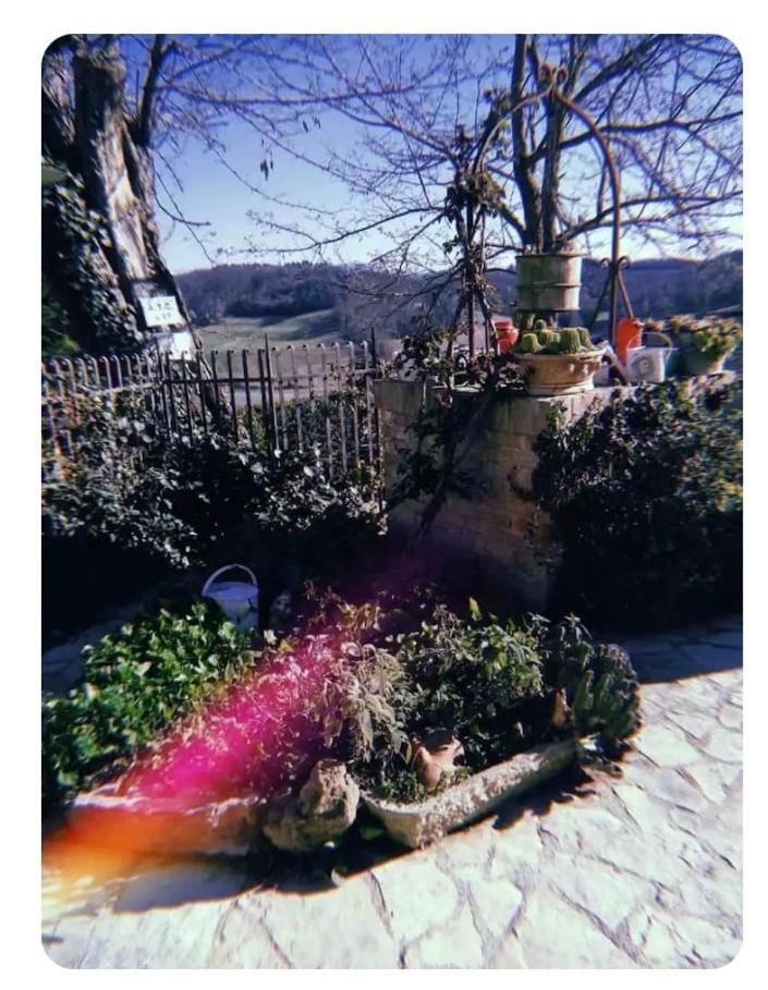 La Casina Di Ancicucco 1 Apartment San Gimignano Ngoại thất bức ảnh